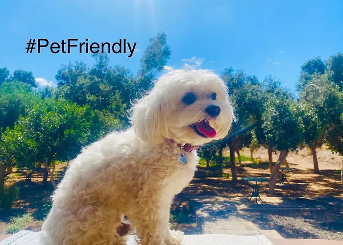 Bungalow Sequero #Pet Friendly