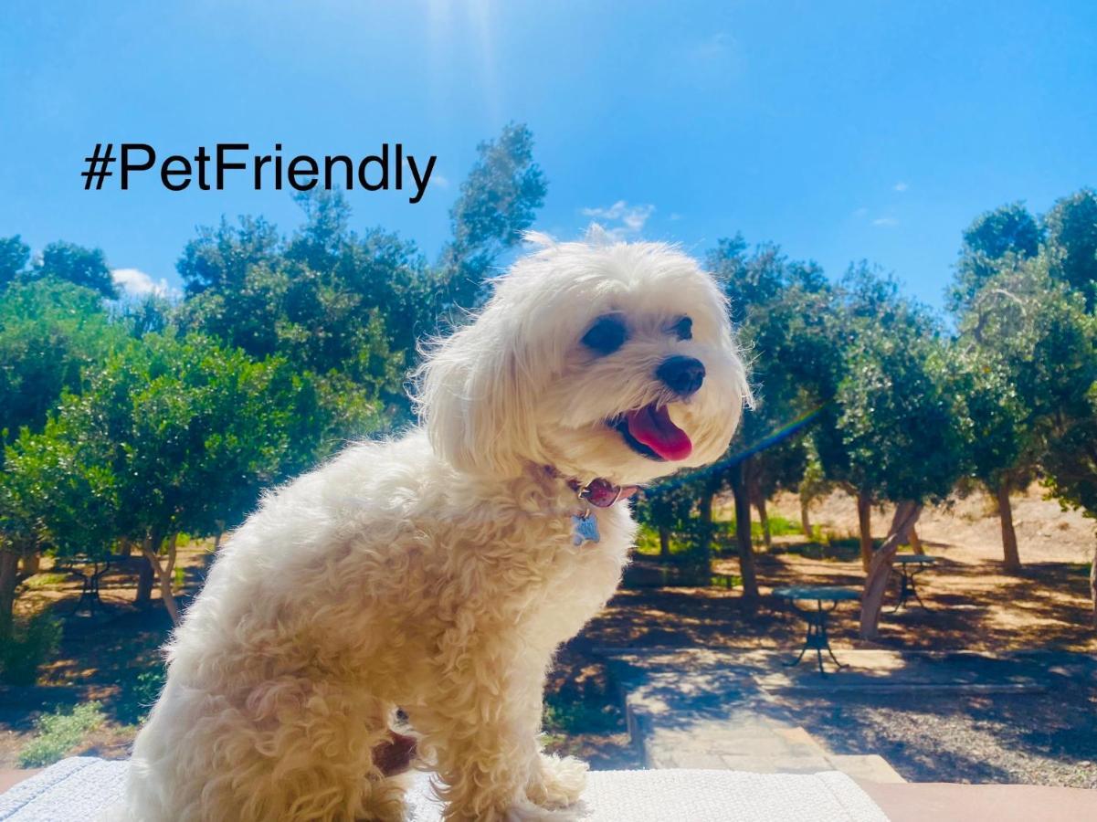 Apartment Sequero #pet Friendly